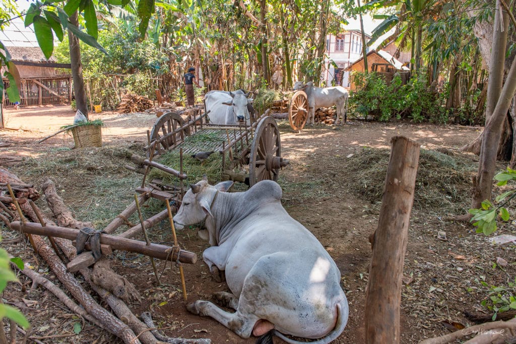 Samkar - lac Inle