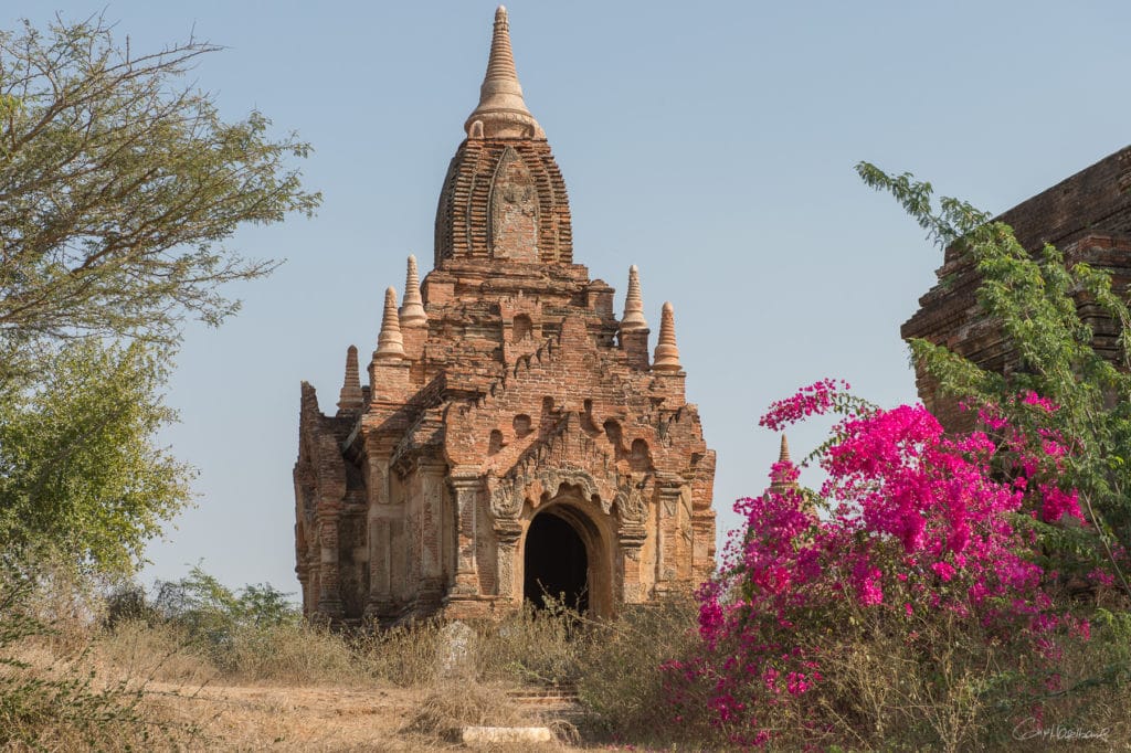 Temple de Bagan