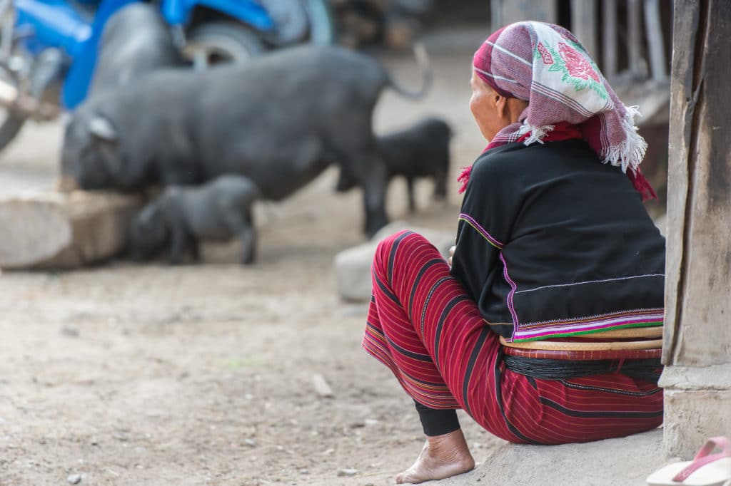 Village ethnie Palaung - Région de Kentung - Etat Shan